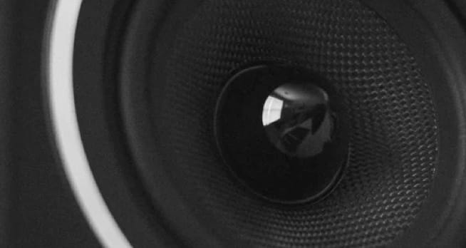 Zoomed in on the ZX7 Speaker cone