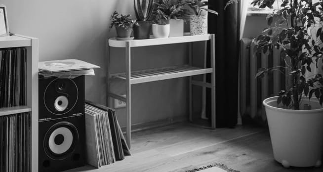 ZX9 Speaker in a room surrounded by records and plants