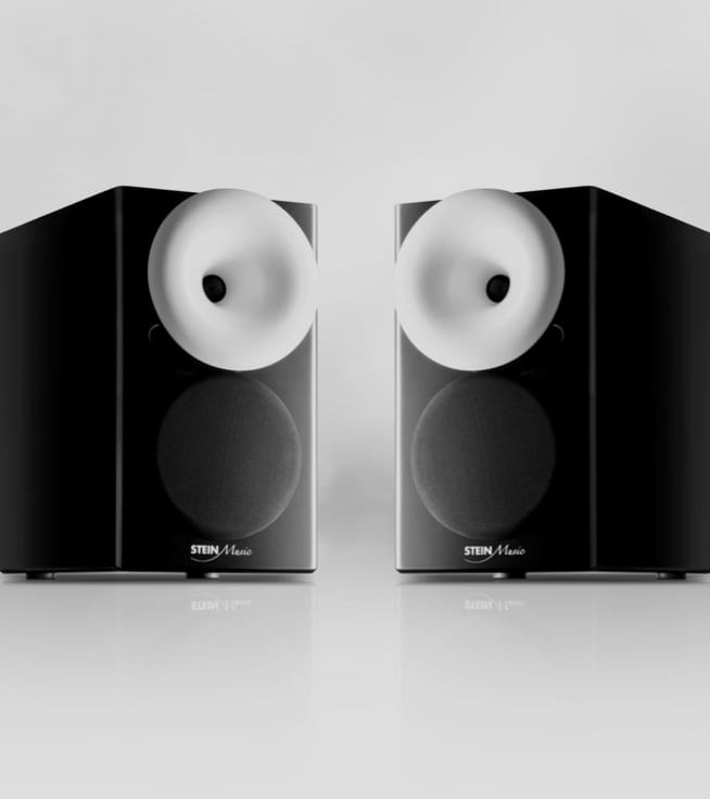 Two ZX9 Speakers side by side on a white background